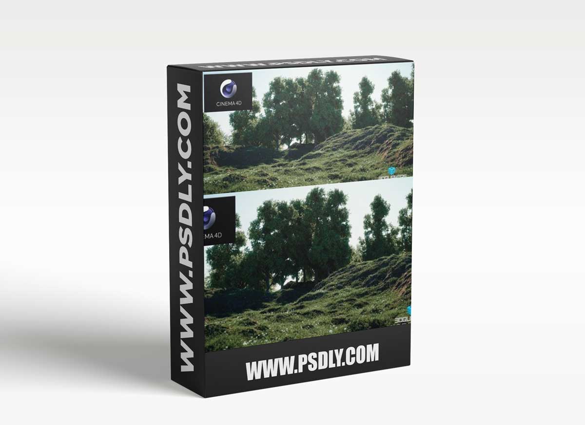 Forester v1.4.9 Plus Expansion Pack1 & Expansion Pack2 For C4D R20 R23 R25
