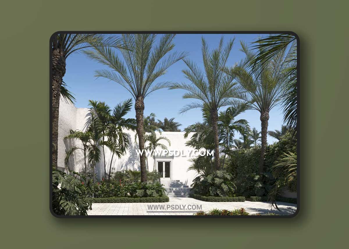 Maxtree - Plant Models Vol. 71 3D Model