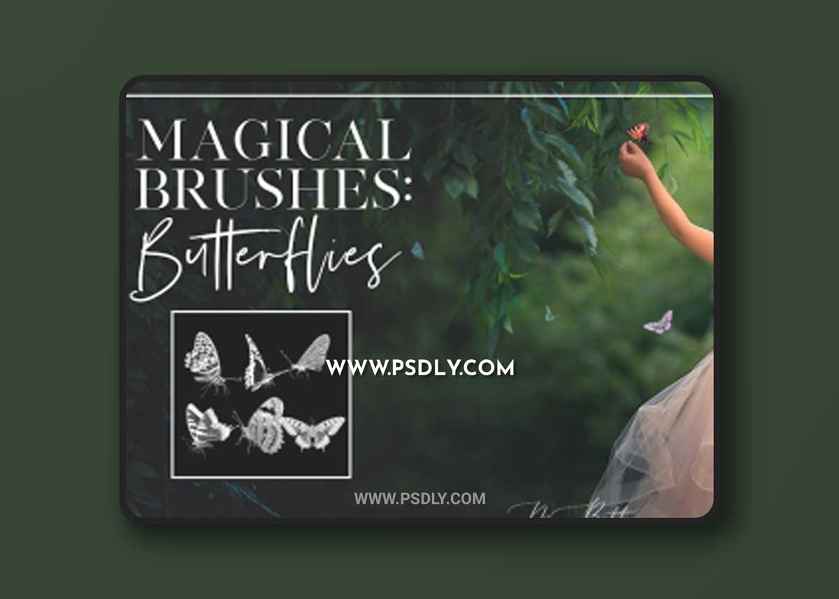 Meg Bitton - Butterflies Brushes