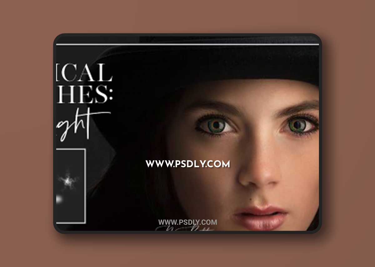 Meg Bitton - Lip Light Brushes