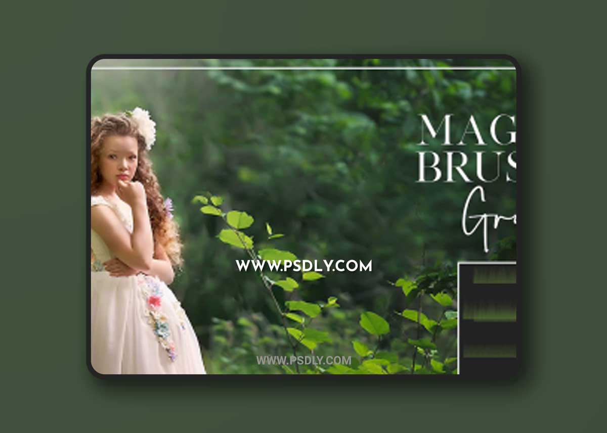 Meg Bitton Live — Grass Brushes