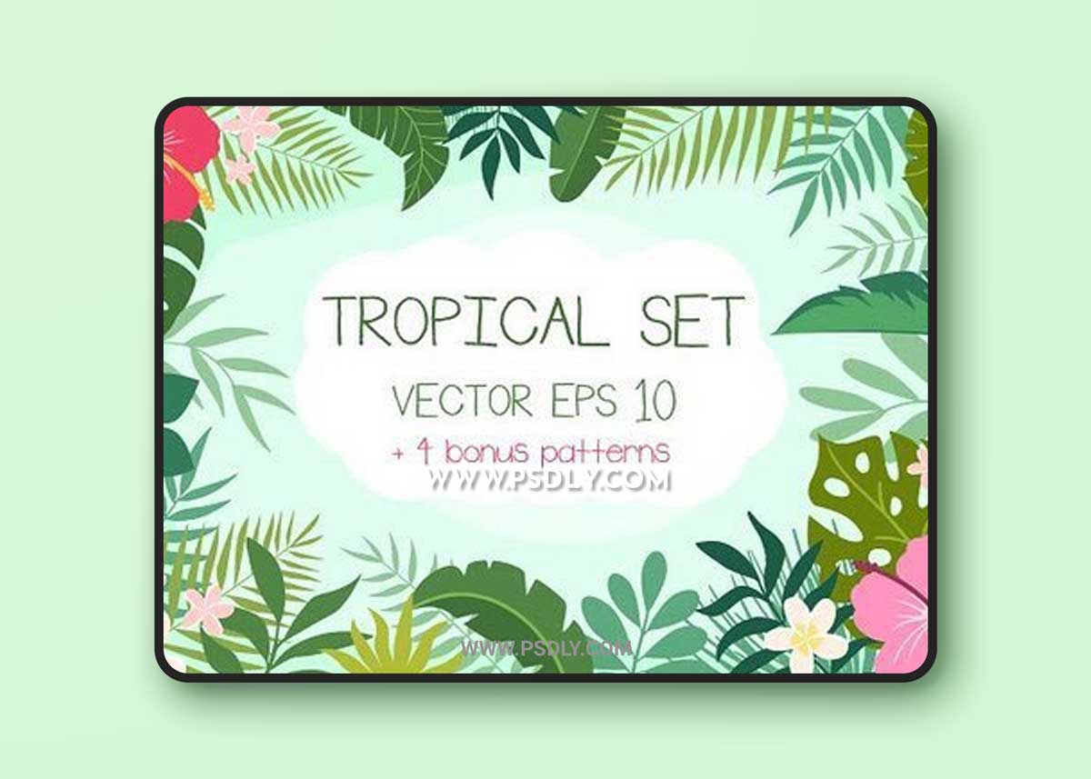 Tropical Set + Bonus Patterns