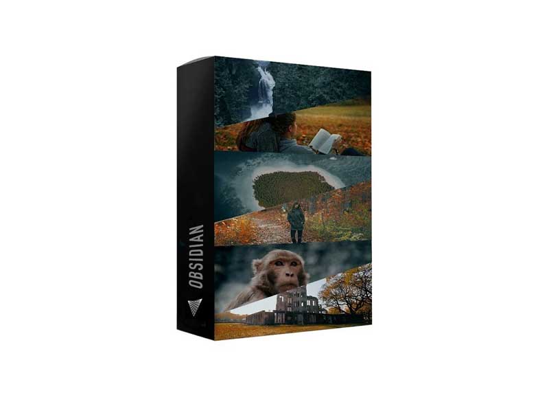 Visualsfirst - Obsidian LUTs