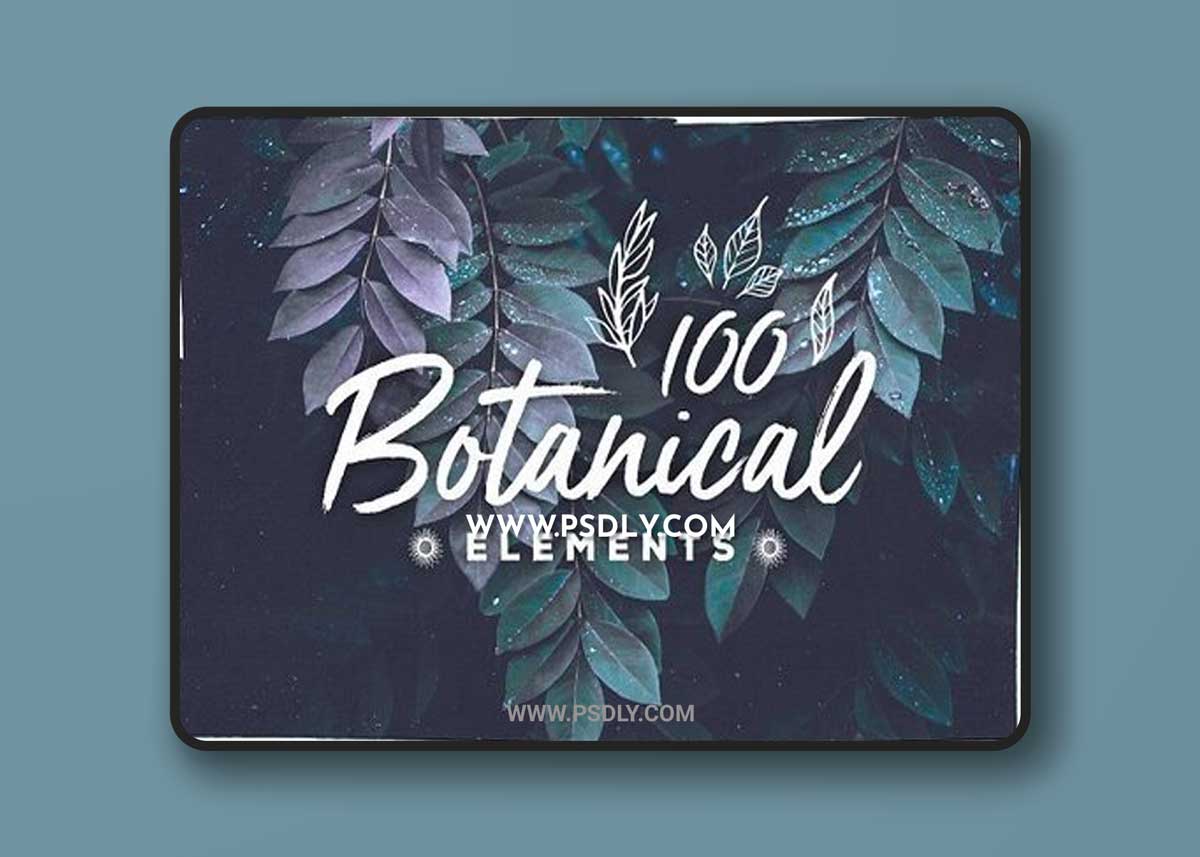 100 Handsketched Botanical Elements