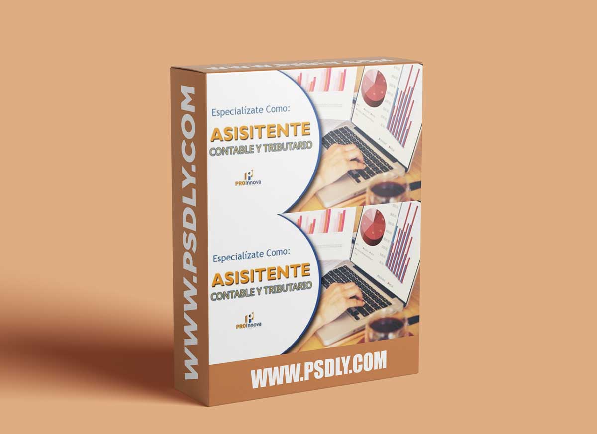 Asistente Contable 1 Asistente Contable