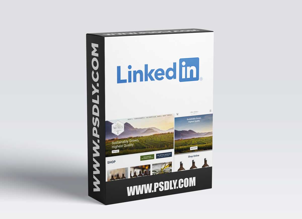 How to Plan Your Website