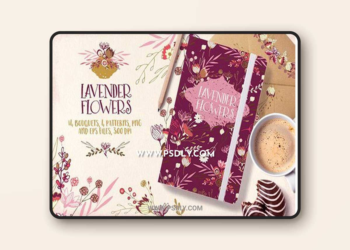 Lavender Flowers 723562