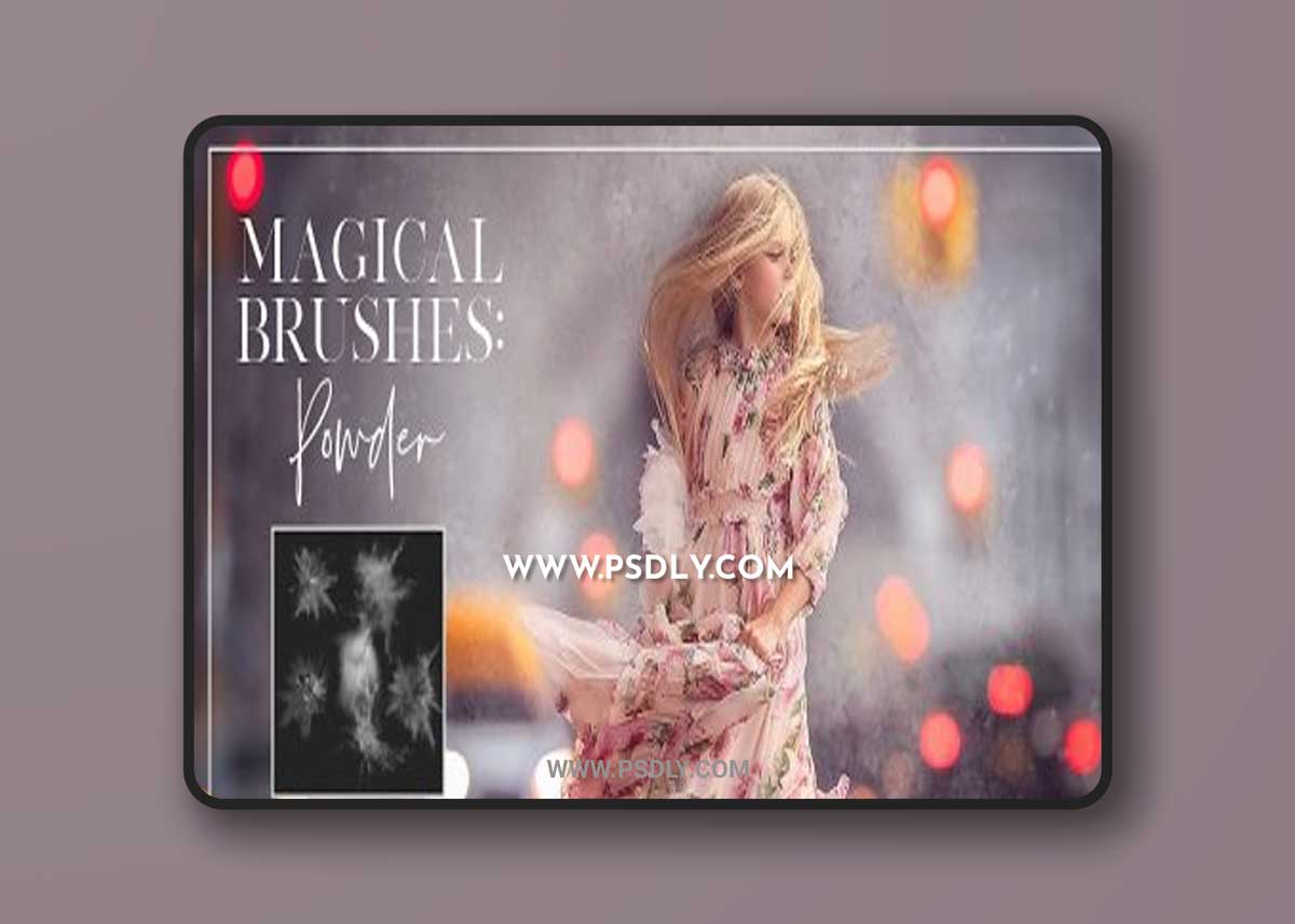 Meg Bitton - Powder Brushes