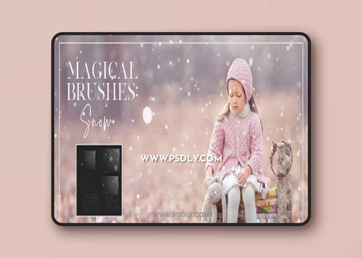 Meg Bitton - Snow Brushes