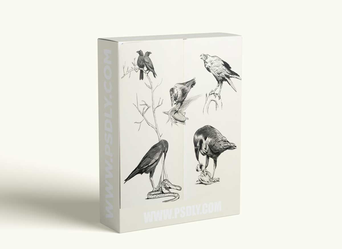 Pencil Brush (+7 hours of process videos) by jensclaessens