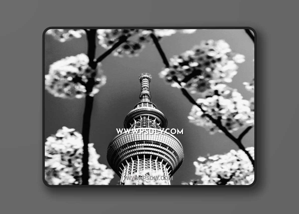 Phlearn Pro - Black & White Photoshop Actions