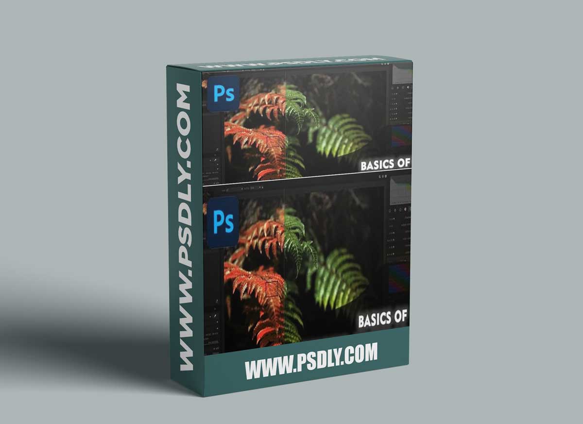 Photoshop Basics: Photo Editing Basics