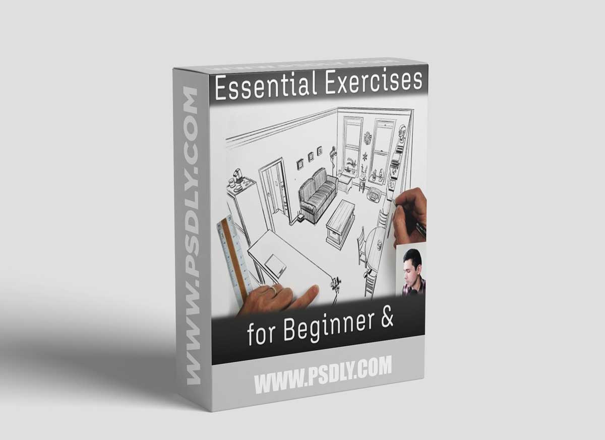 Essential Exercises for Beginner and Intermediate Artists