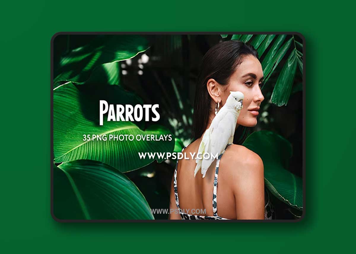 GraphicRiver - 35 Parrots Photo Overlays 34817800