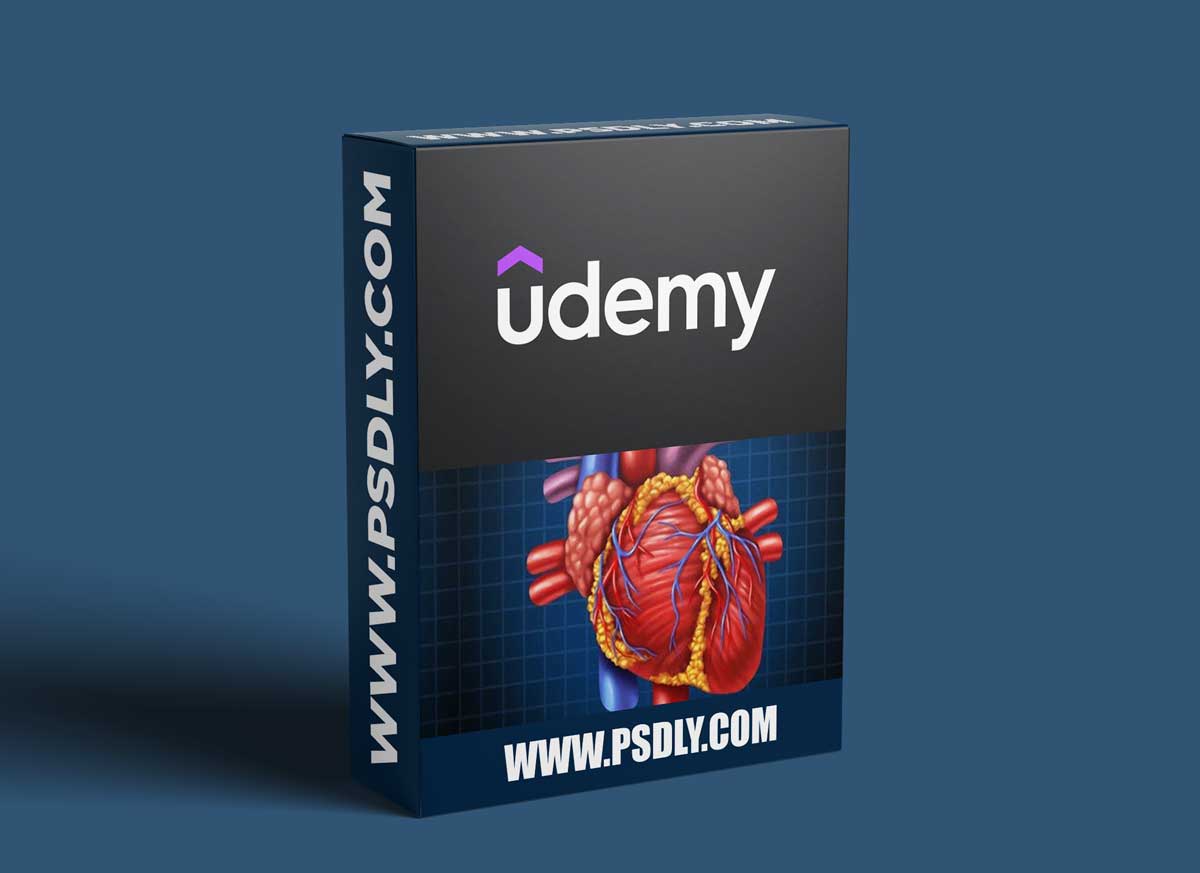 Learn Cardiac Anatomy and physiology from scratch
