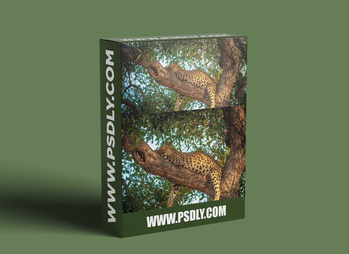 Advanced Photo Retouching in Adobe Photoshop 2020