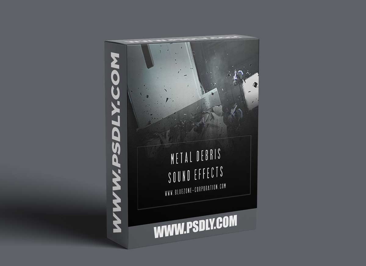 Bluezone Corporation METAL DEBRIS SOUND EFFECTS