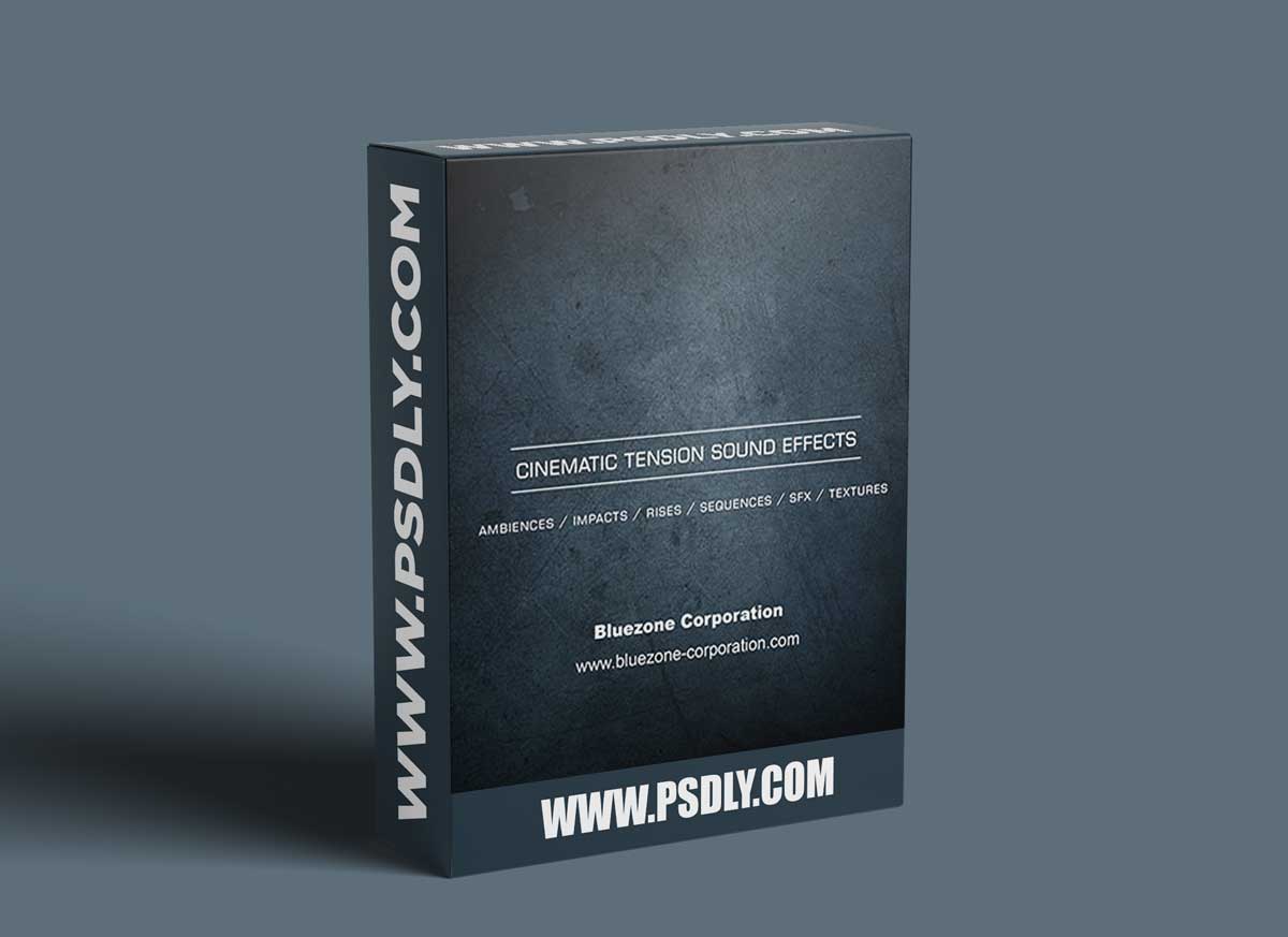 Bluezone Corporation – Cinematic Tension Sound Effects
