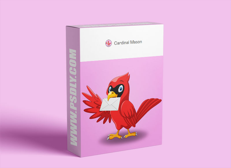 Cardinal Mason Creative Email Marketing Download