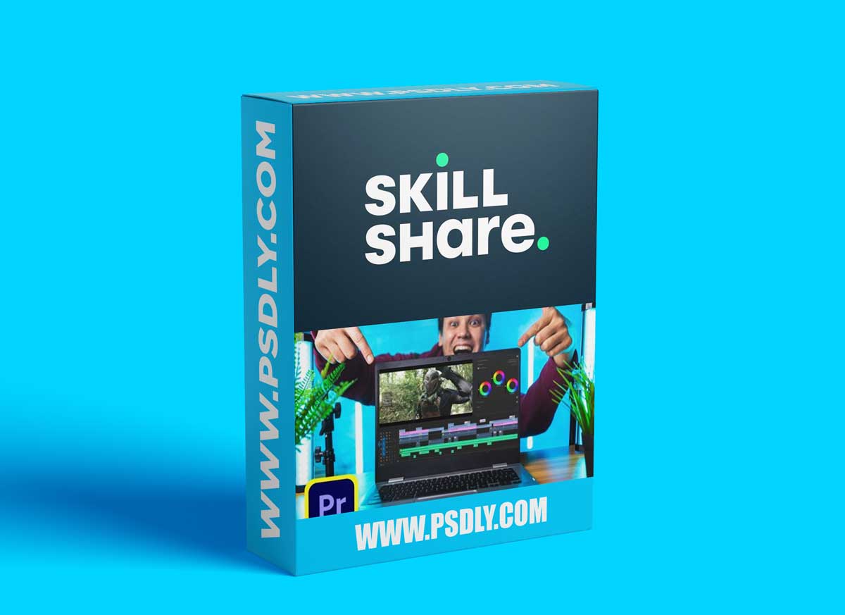 Getting Started in Premiere Pro - The Top Ten Things You Need To Know