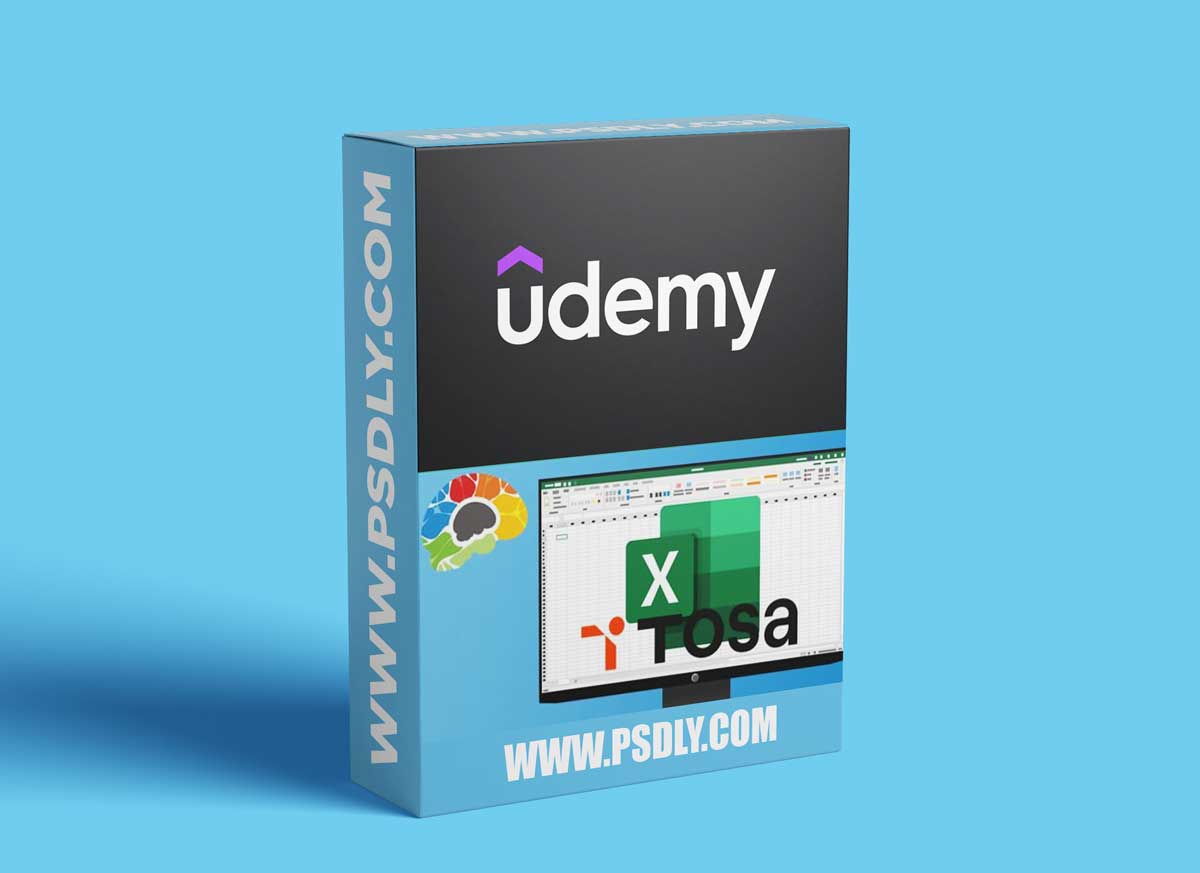 Learning Excel 365 - Advanced (TOSA)