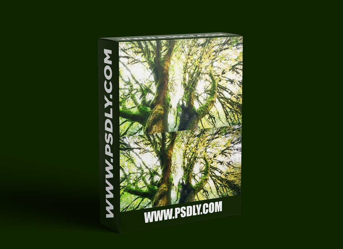 Luminosity Masking in Photoshop by Blake Rudis