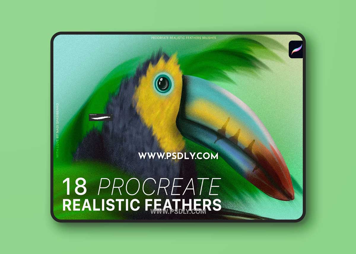Procreate Realistic Feather Brushes - 6802309