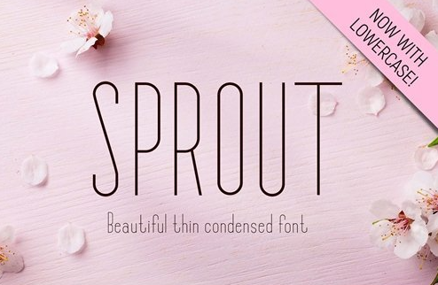 Sprout - Sans Serif Font