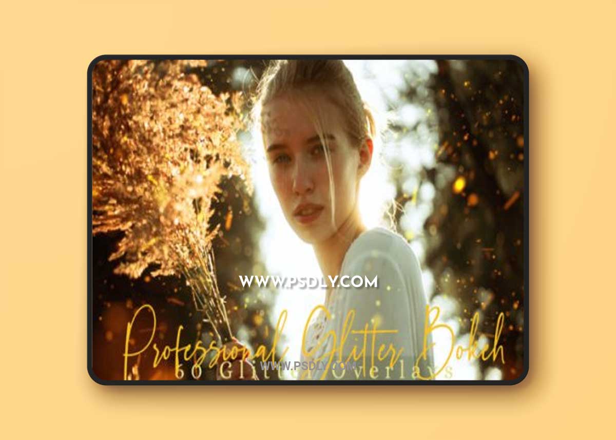 60 Professional Glitter Overlays