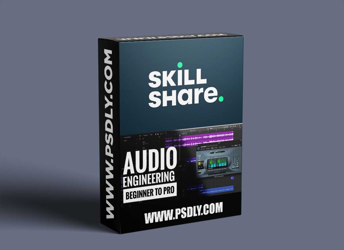 Audio Engineering: Beginner to Pro