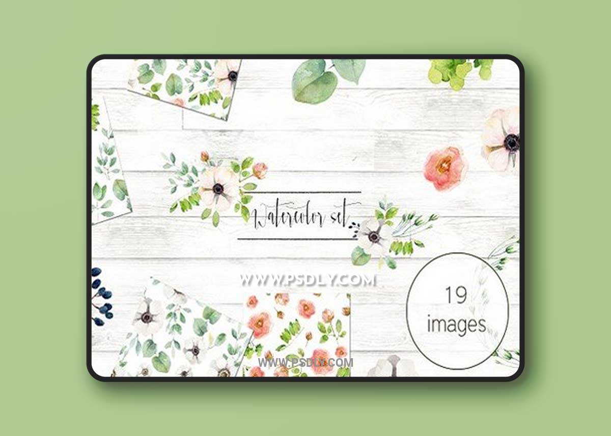 Big set with anemones Transparent PNG