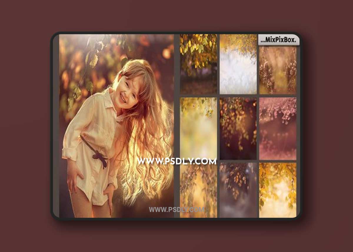 CreativeMarket - Autumn Portrait Backgrounds 5814806