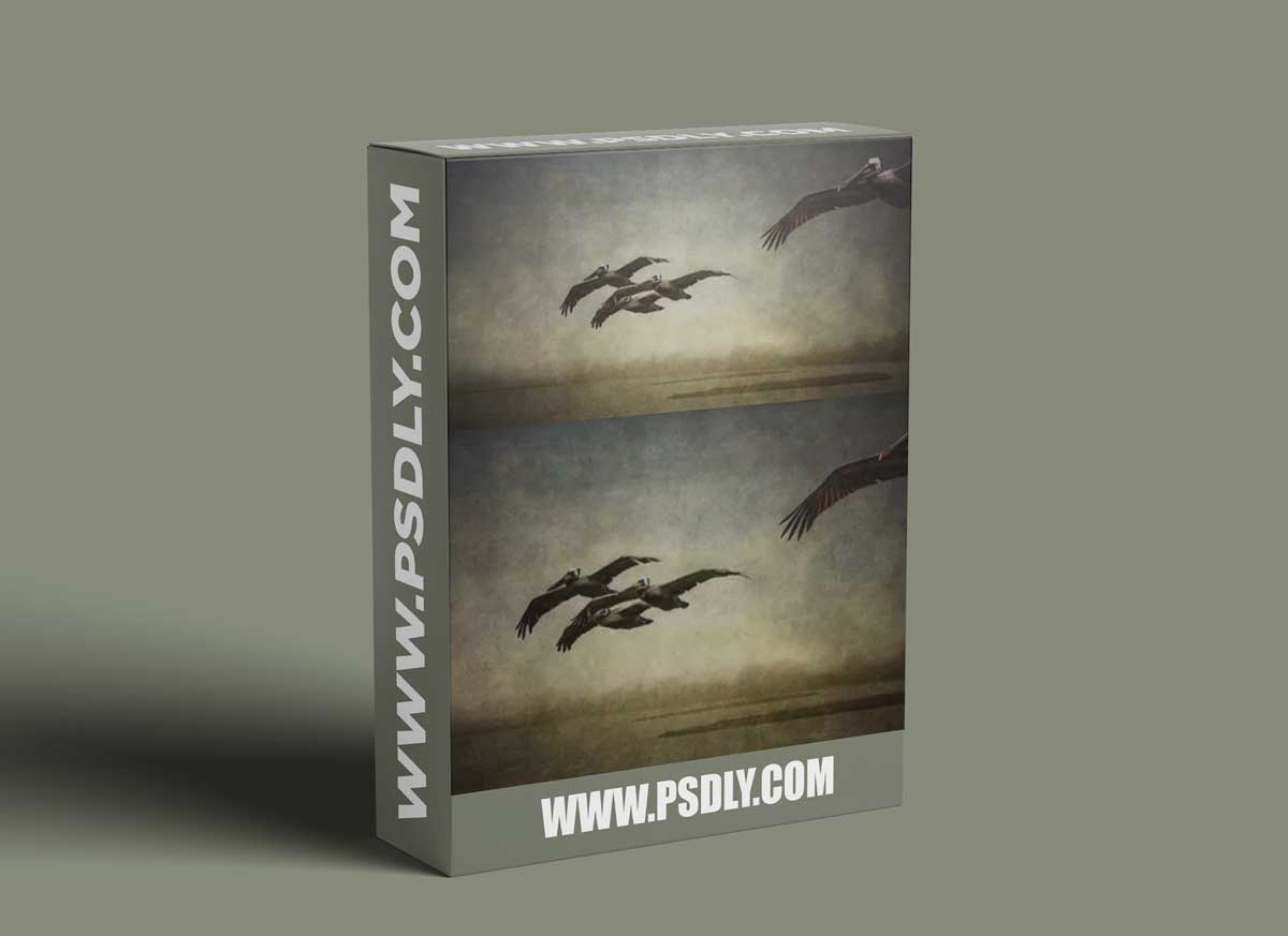 Photomorphis - PRO Tutorial: Silent Passage