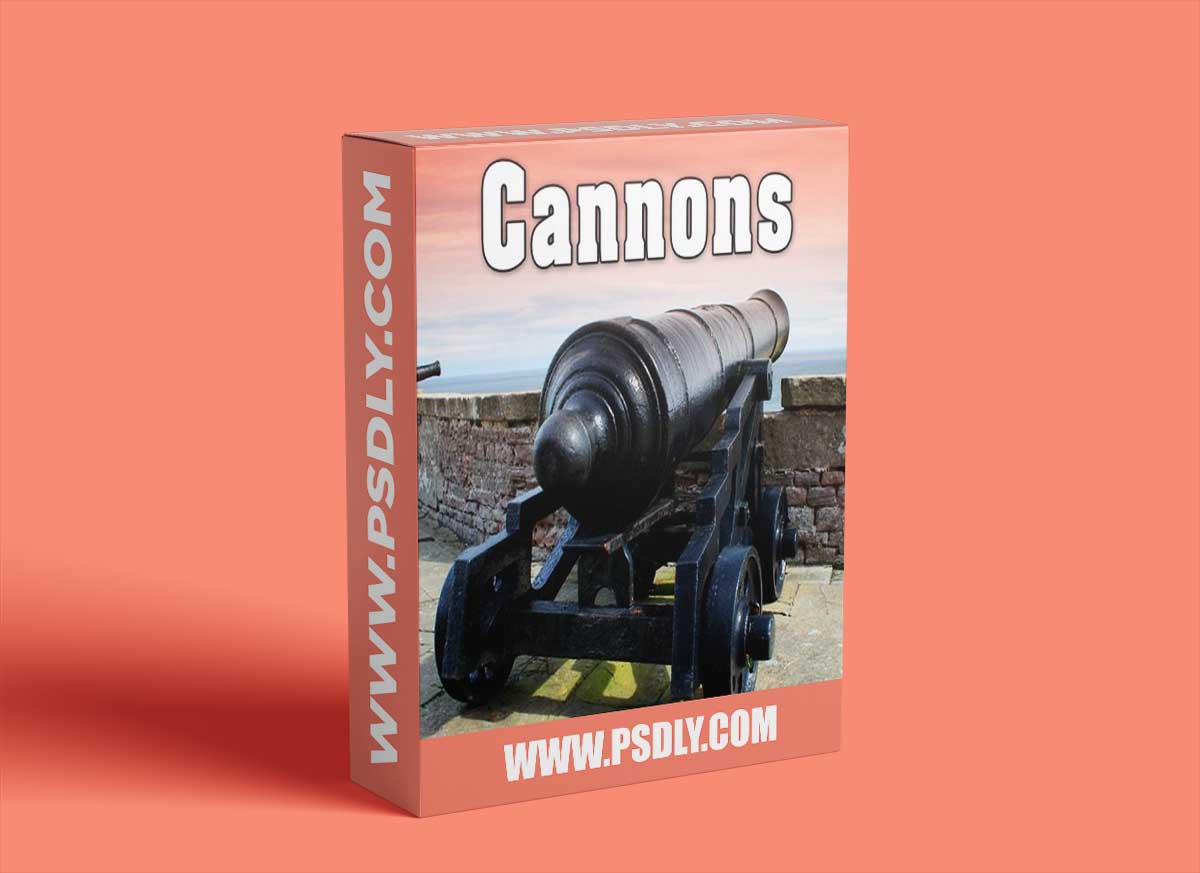 Sound Ideas Cannons Sound Effects FLAC