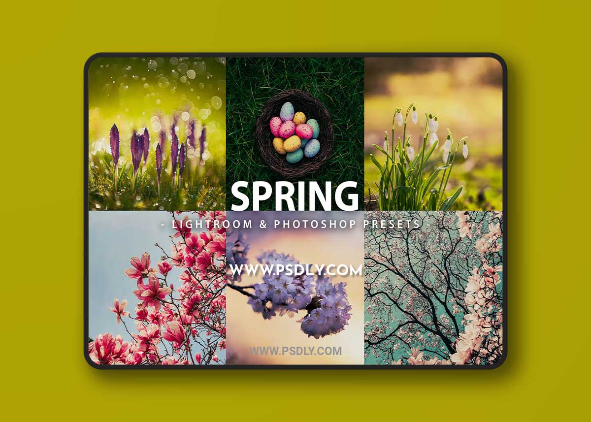 5 Spring | Lightroom and Photoshop XTFGJS9