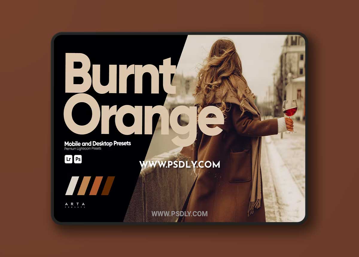 ARTA - Burnt Orange Presets for Lightroom