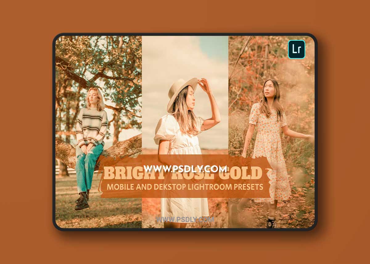 Bright Rose Gold Lightroom Presets Dekstop Mobile