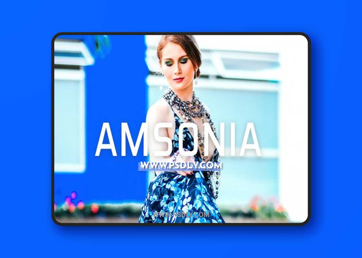 CreativeMarket - Amsonia Pro Lightroom Presets 7170386
