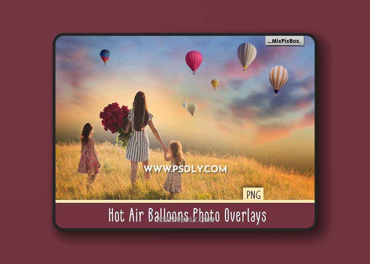 CreativeMarket - Hot Air Balloon overlays 3819838