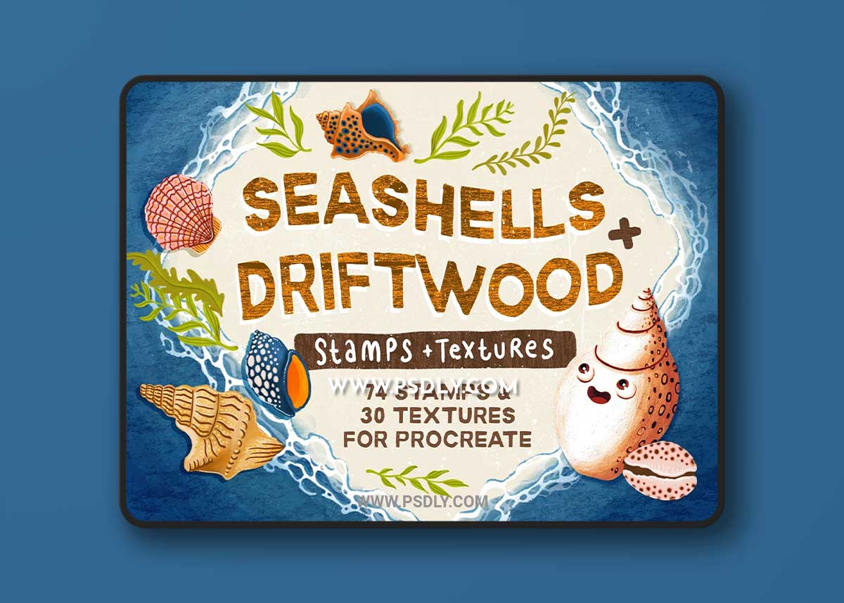 CreativeMarket - Seashells + Driftwood Procreate Set 6462824