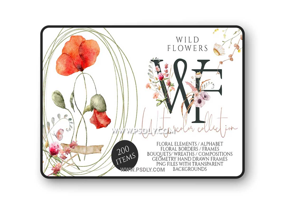 CreativeMarket---Wild-Flowers-watercolor-collection-7113962