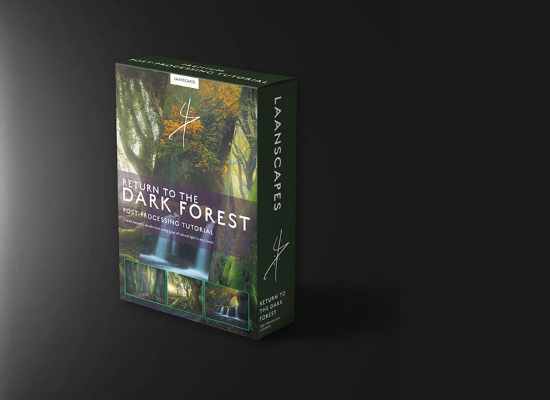 Daniel Laan Return to the Dark Forest
