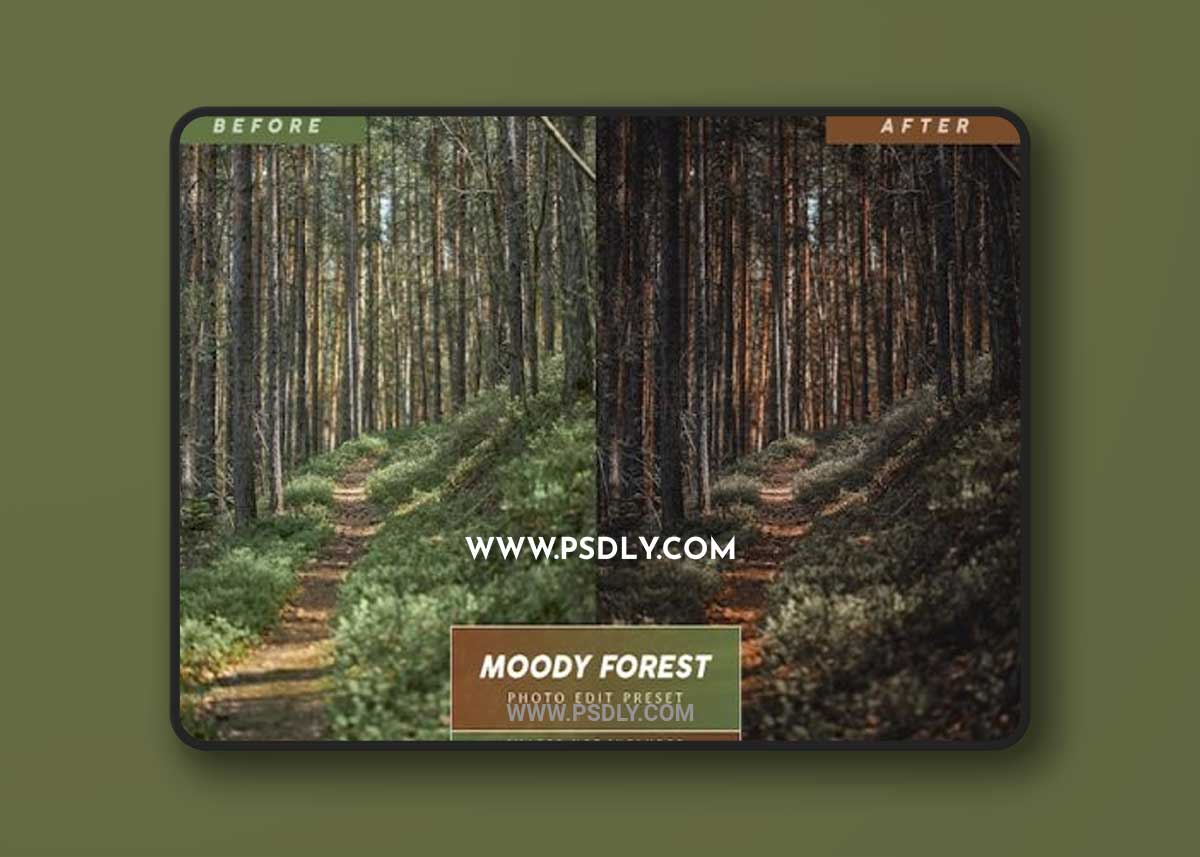 Editable moody forest picture preset for social media photos