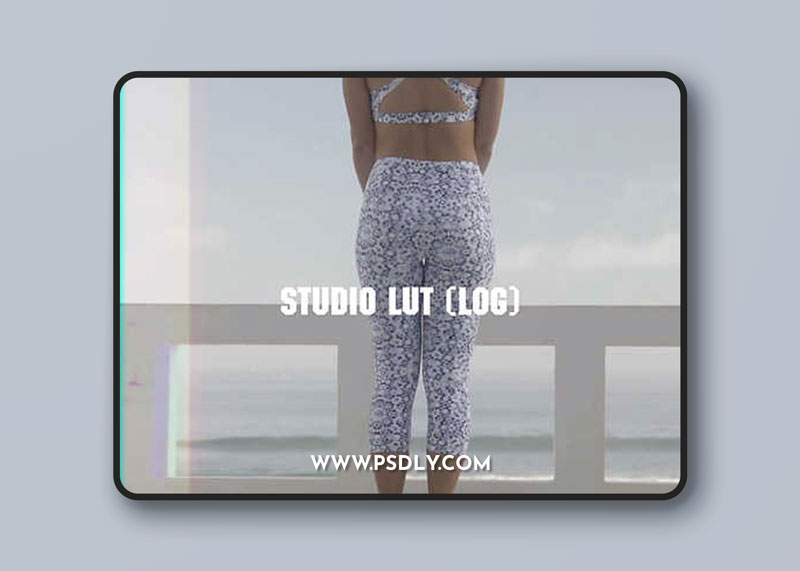 Guillaume Cornet - BLUU LUTs (for videos)