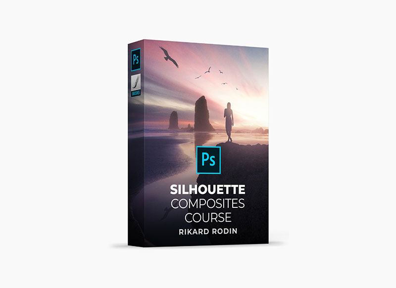 Nucly Silhouette Brushes Bundle