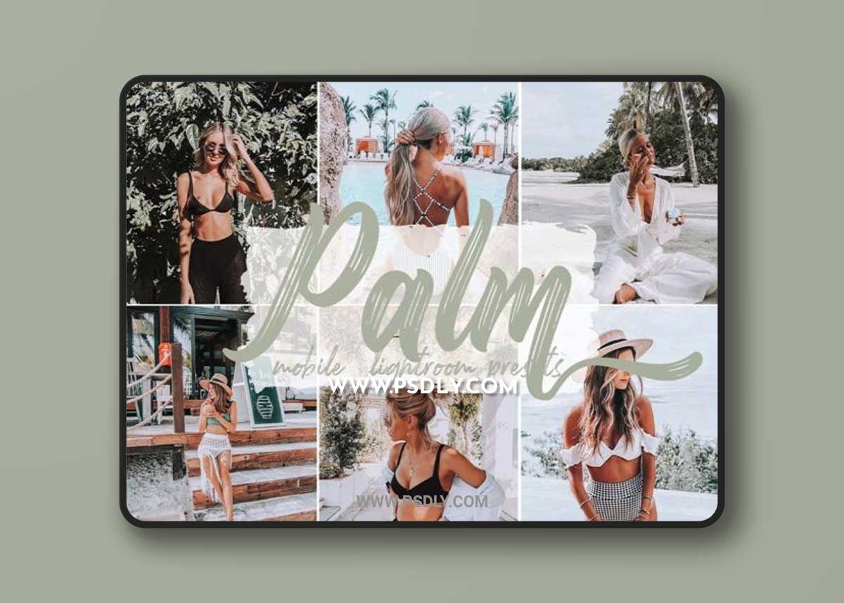 Palm Lightroom Presets Summer Beach Tone