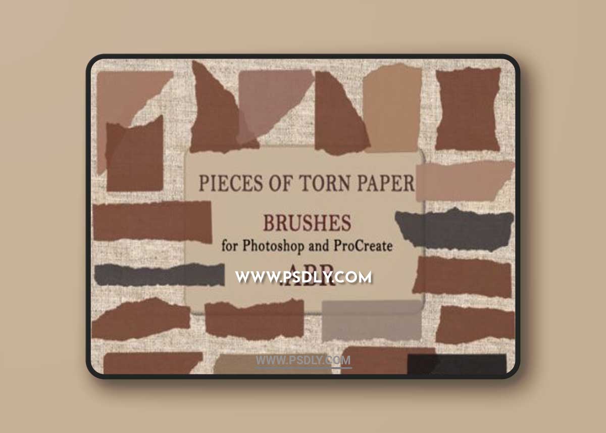 Pieces of Torn Paper. Brushes