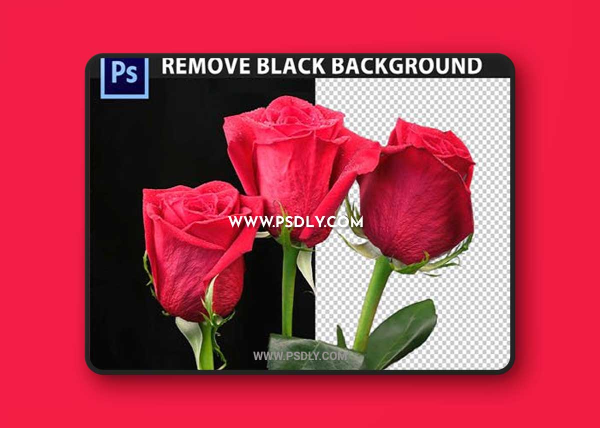 Remove Background from Image - Photoshop Action