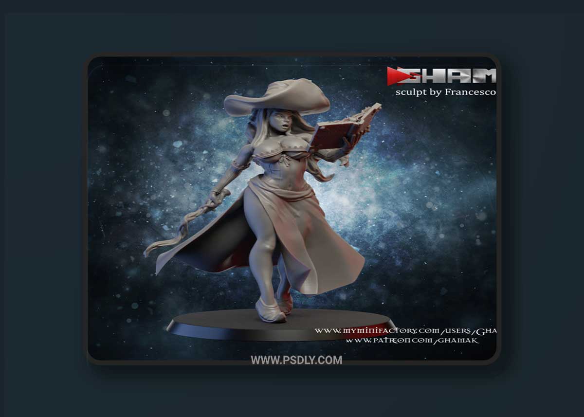 Witch Hunter pin-up 3D Printable