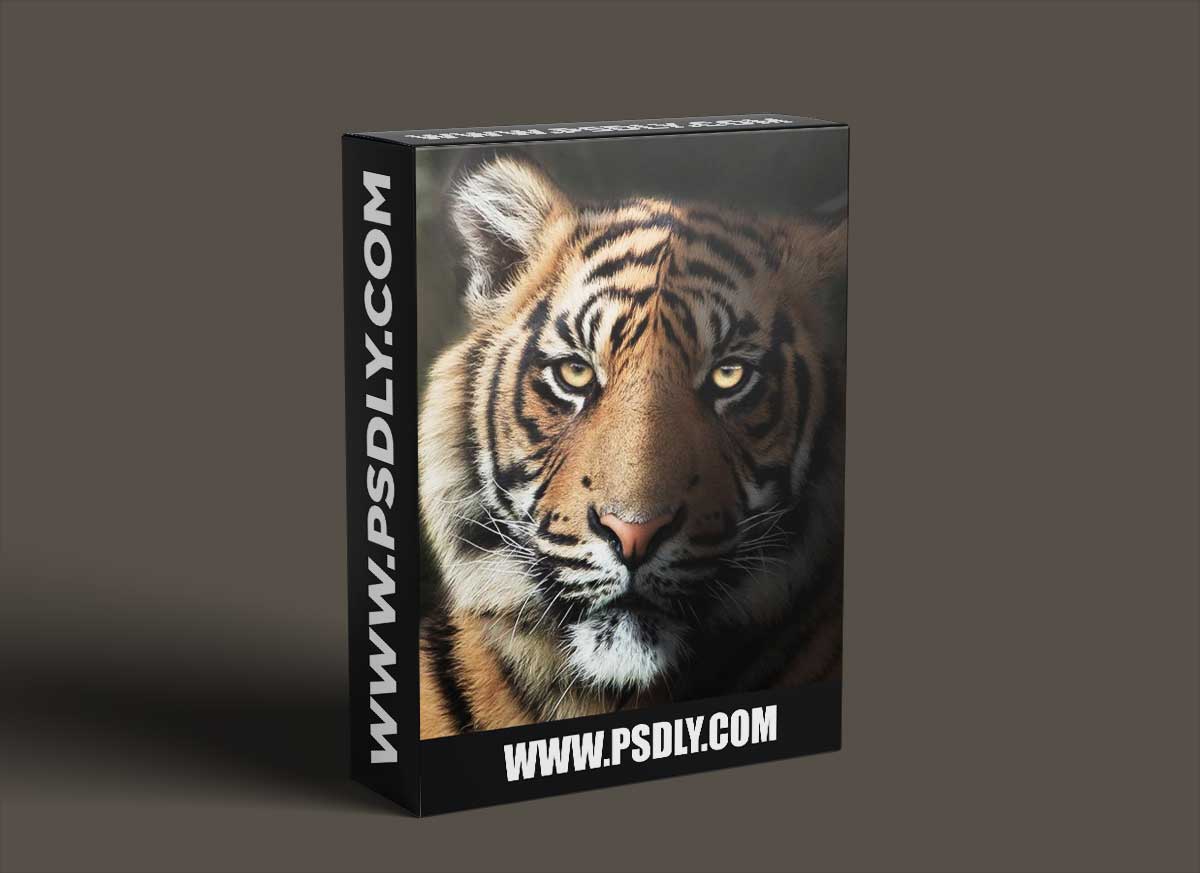 Zenja Gammer - Mastering Lighting - Photoshop Tutorial